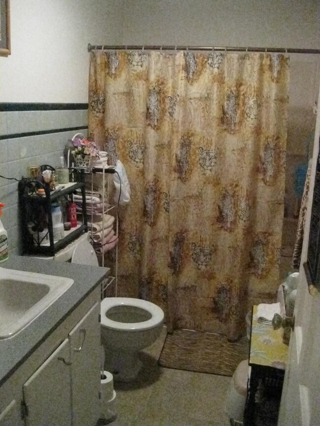 Vintage bathroom - with historic green tile - 1329 47th St