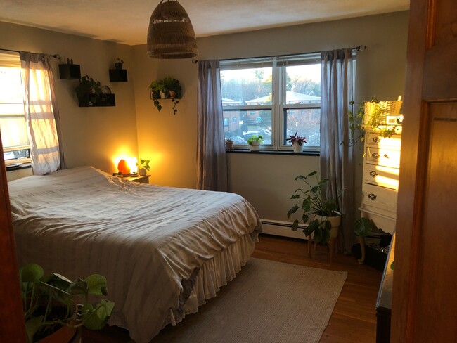 Foto del edificio - 288 Grove St