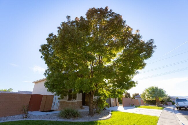 Foto del edificio - Darling home in desirable Little Valley with a PRIVATE POOL!