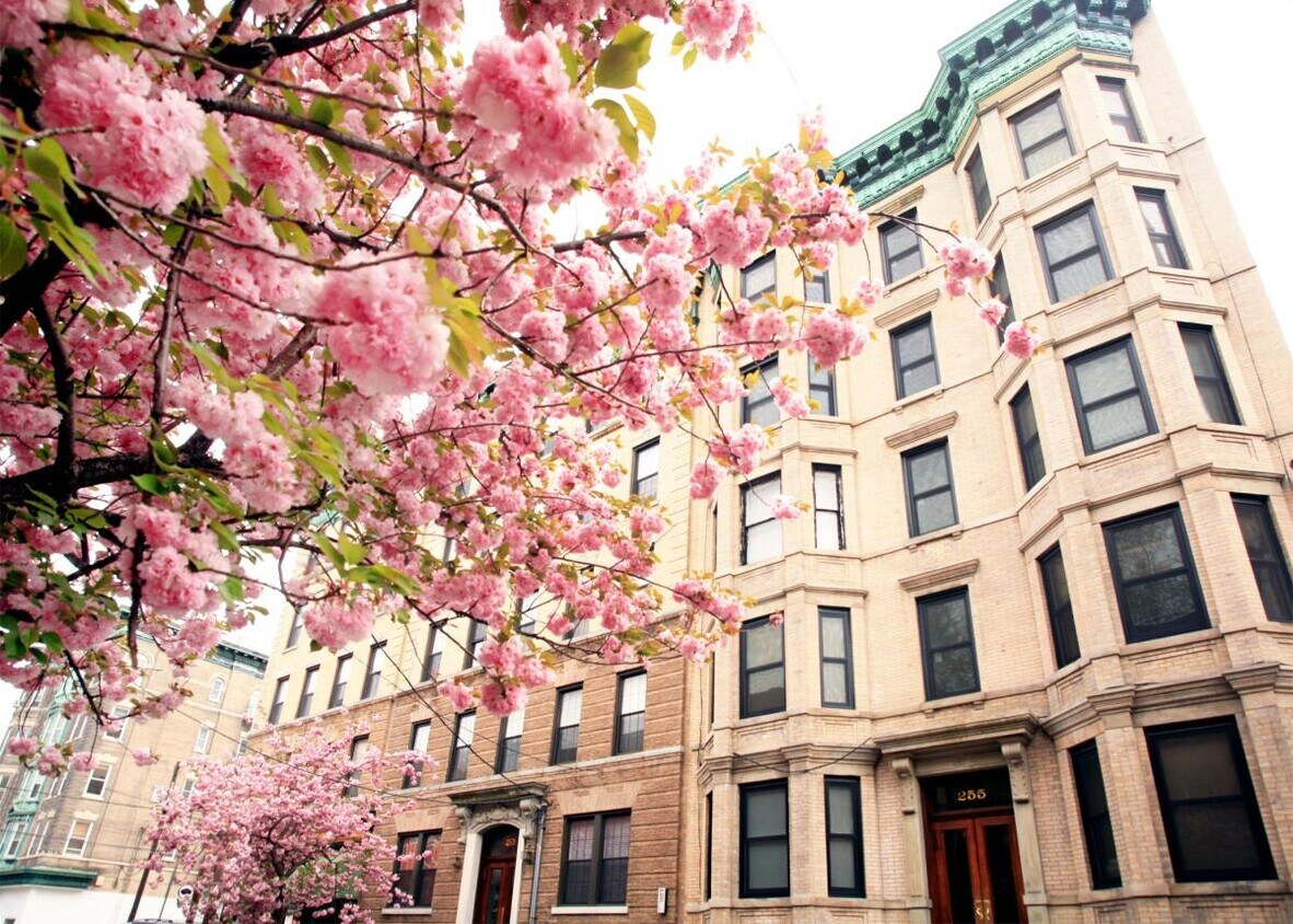 Foto principal - 255 10th St