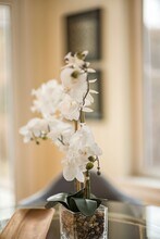 The Grove at Olmsted Green photo'