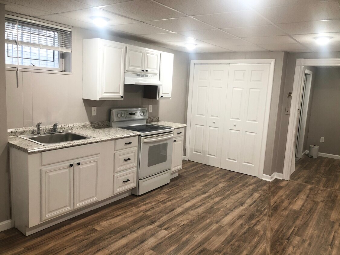 New Cabinent, Handles, Counter Top, Pantry - 111 Springvale Ave
