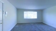 This single-story space features a generously sized open room finished in a clean, neutral color palette. The walls are painted a soft, light gray-white tone that enhances the airy feel of the interior. Underfoot, wall-to-wall carpet in a muted gray adds warmth and comfort to the space.

A standout feature of the room is the large multi-pane window centered on the far wall, which serves as a focal point and floods the space with abundant natural light. The window's grid-style design adds a classic architectural detail, while its generous proportions frame views of lush greenery outside, creating a pleasant connection to the outdoors.

The room benefits from smooth, flat ceilings and clean white baseboards that provide a crisp contrast to the soft wall tones. The overall layout is open and flexible, lending itself well to a variety of furniture arrangements. The combination of natural light, neutral finishes, and carpeted flooring gives the space a calm, understated ambiance that would suit a range of uses.