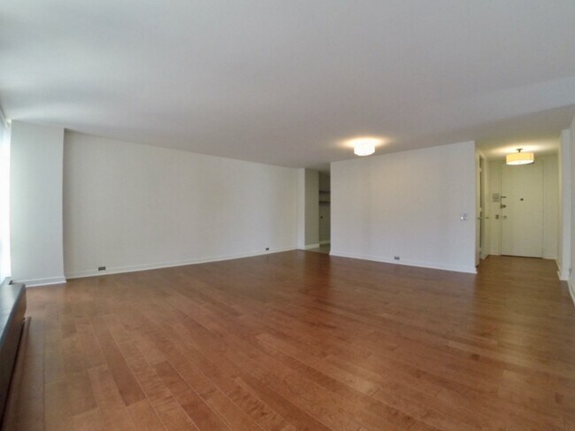 Foto del edificio - 900 N Lake Shore Dr