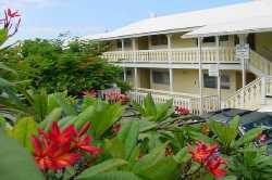 Building Photo - Lono Kona Apartments