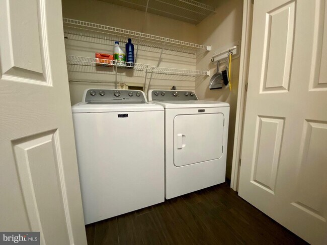 Building Photo - 1303 Sandwort Ct