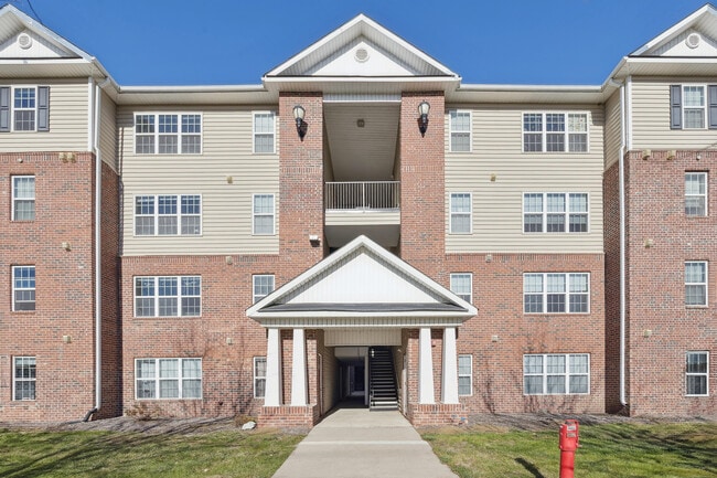 El bosque 04 min - The Grove