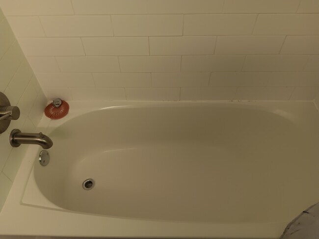 2nd Bedroom Bathtub - 518 Tanager Rd