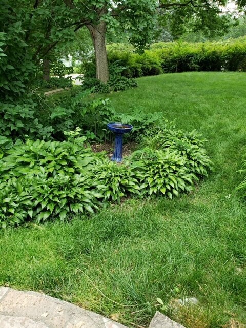 Primary Photo - 509 Glenbrook Ave N