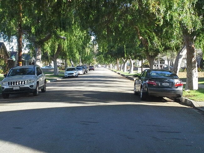 Parkway trees from an inviting canopy as you drive home. - 3722 Marwick Ave