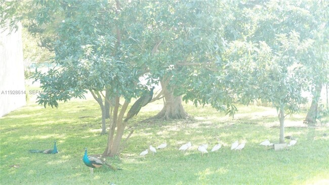 Building Photo - 10370 SW 220th St