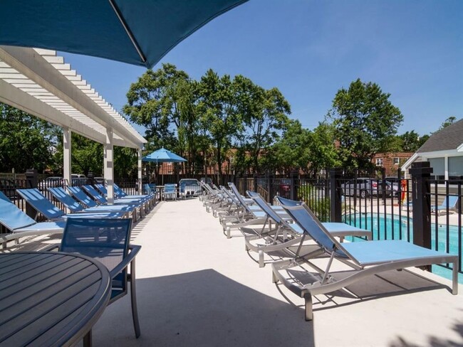 Sparkling Pool & Sundeck with Relaxing Lounge Chairs - Rosslyn Heights