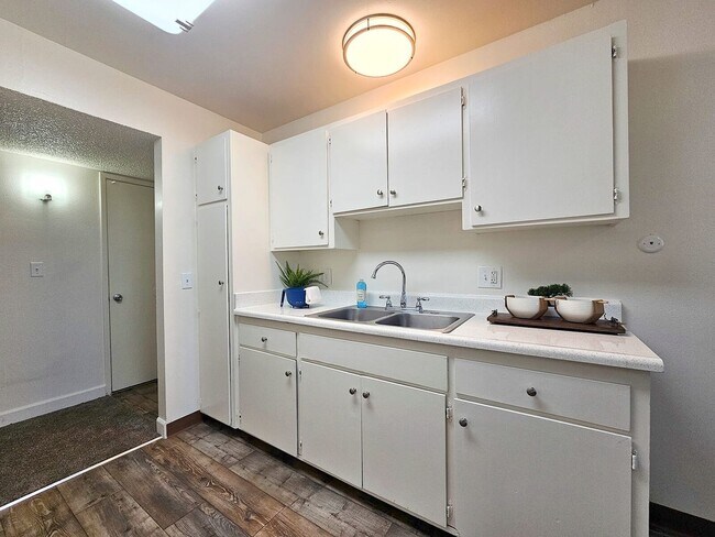 Foto del interior - Shady Terrace