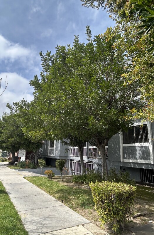 Foto del edificio - 309 E Elk Ave