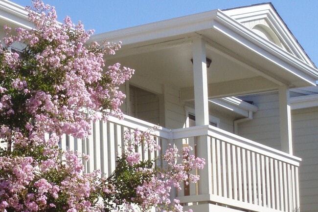 Foto del edificio - Beautiful Downstairs 1 Bedroom 1 Bath Apartment just minutes from the Sonoma Plaza!