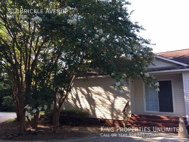 Building Photo - 302 Brickle Ave