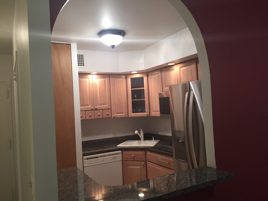Kitchen-1 - 1455 N Sandburg Ter