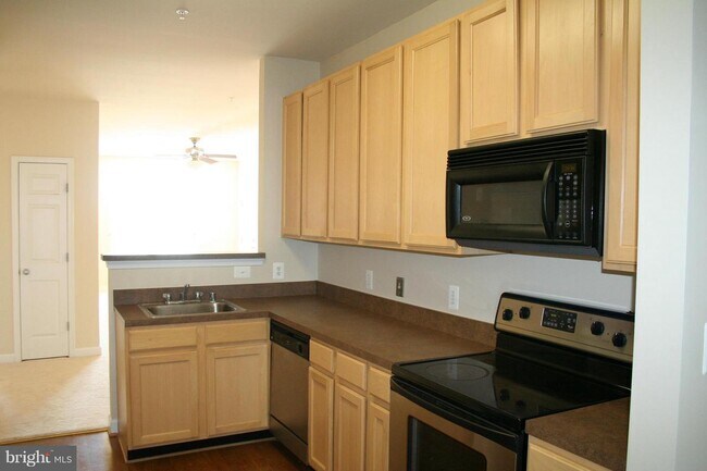 Building Photo - 42381 Goldenseal Square
