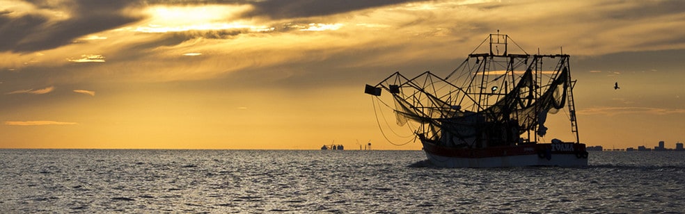 Picture of Ocean Springs