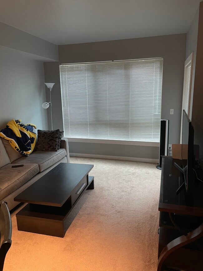 Living room - 1410 E Pine St