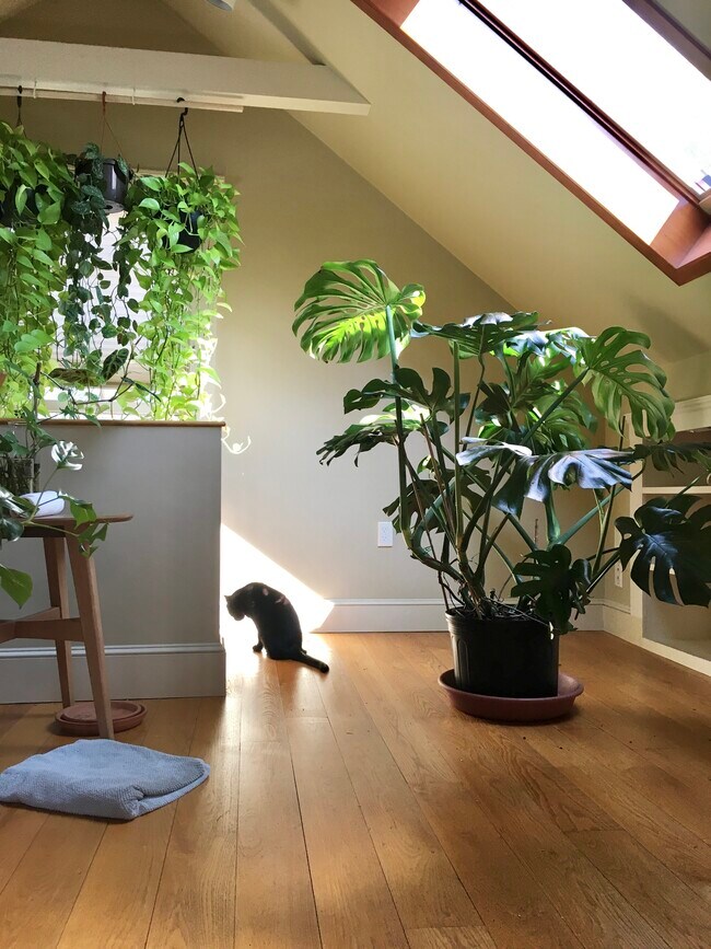 Foto del edificio - 13 Harris St