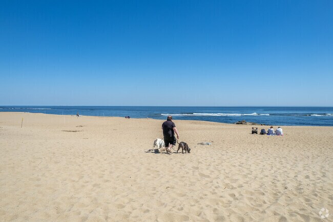 Beachgoers enjoy the sea and sand in Newburyport.