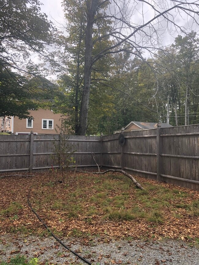 back yard - 46 Wilmot Center Rd