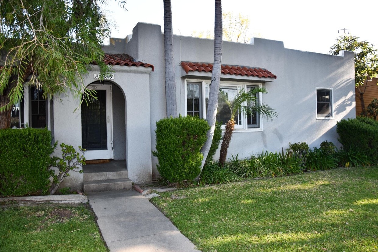 Palm (817-819) - Palm (817-819)