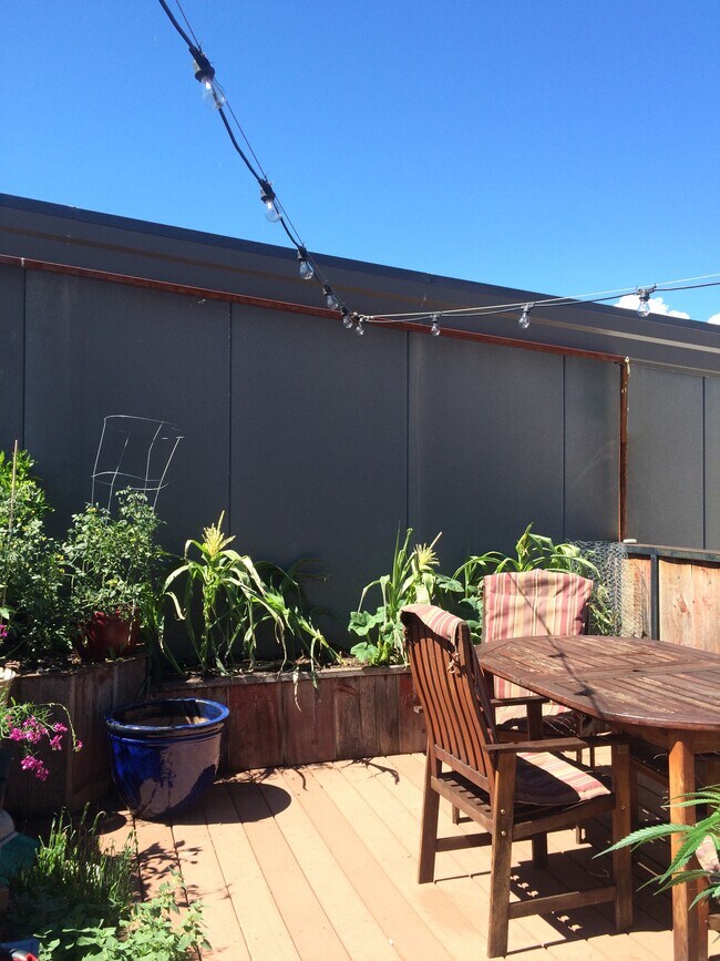 1953 Dolores Way Unit SkyLoft, Carbondale, CO 81623 Apartments in