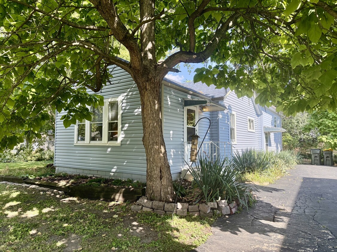 Primary Photo - 337 N Elmwood Ave