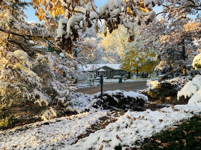 Building Photo - 5208 Autumn Ln