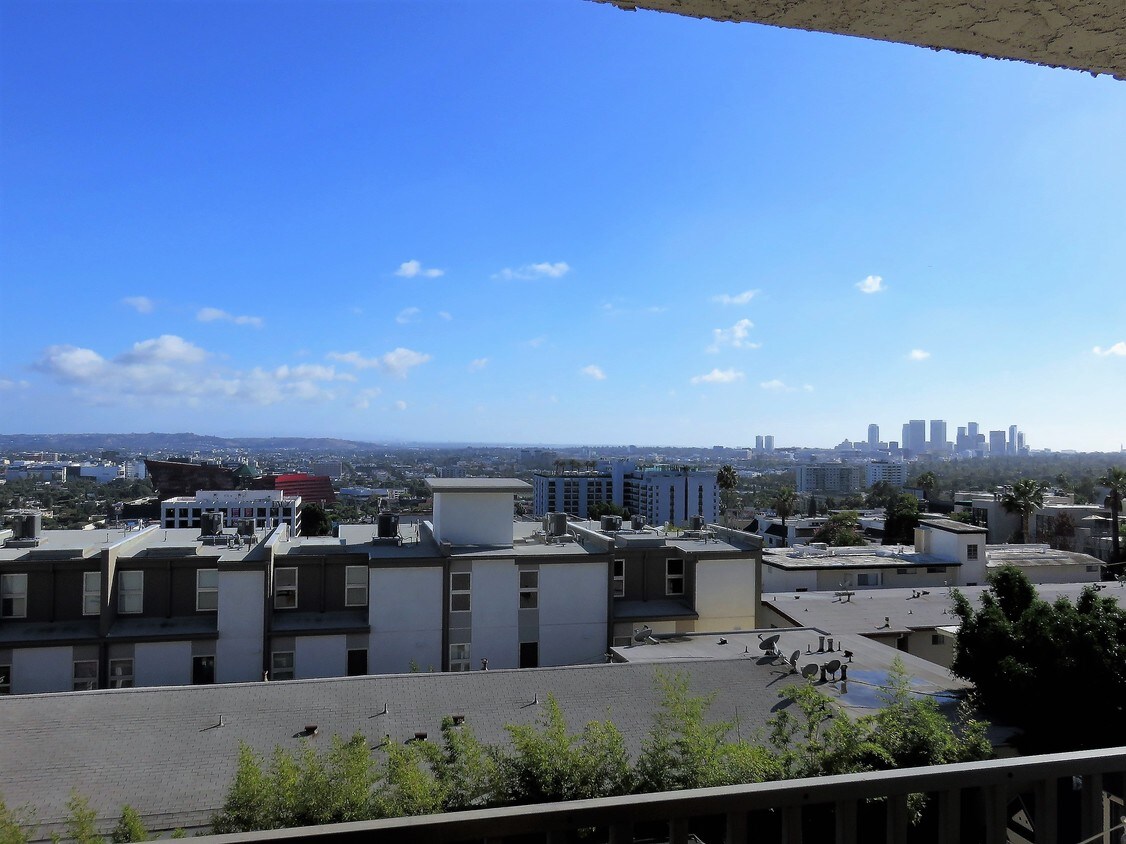 View From Living Room - 1230 Horn Ave
