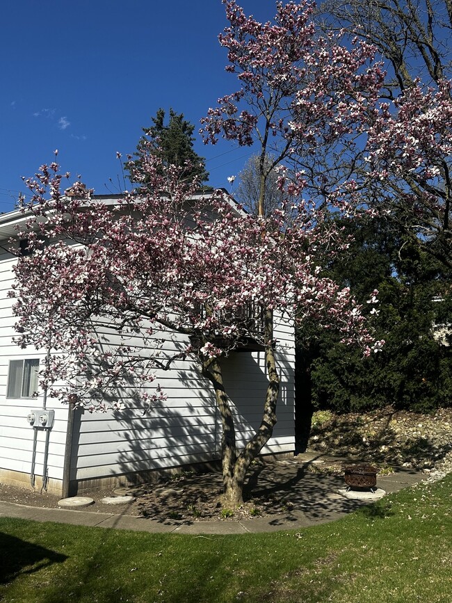 Building Photo - 221 W Sunset Dr