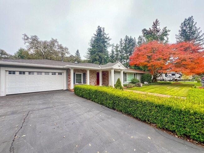 Building Photo - Four Bedroom Ranch-Style Home on an Extra-Large Lot