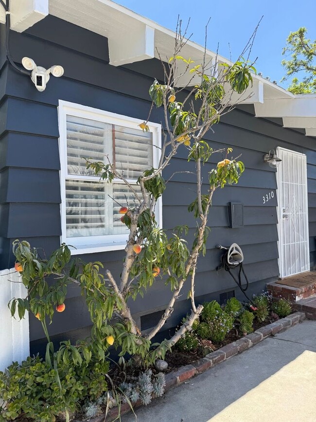 Building Photo - Spacious Silver Lake Charmer 2-bedroom, 1-...