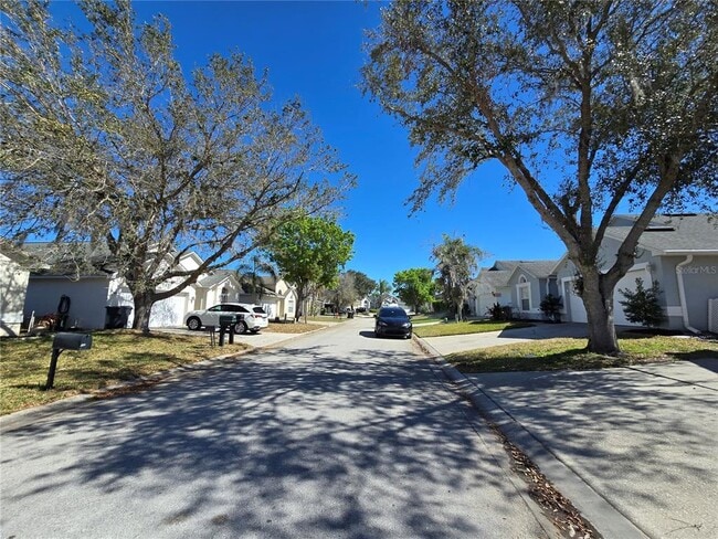 Foto del edificio - 252 Saddle Ridge Dr
