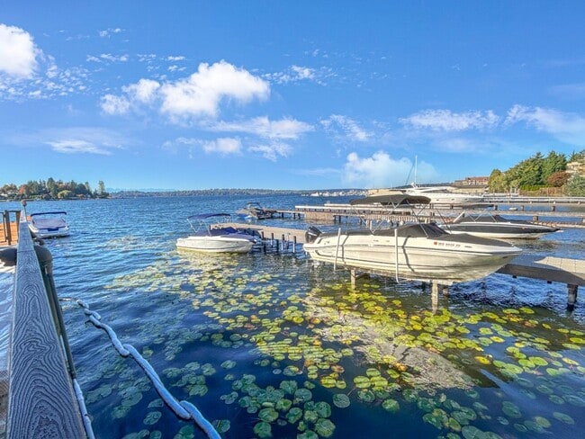 1Bd/1Ba Kirkland Condo - 1Bd/1Ba Kirkland Condo