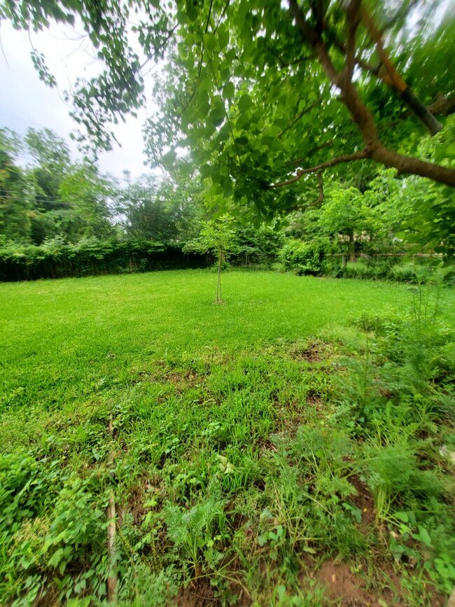 Building Photo - 3 bedroom 1 bathroom in Shady Grove *$300 ...