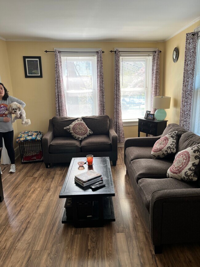 Living Room - 186 Chestnut St