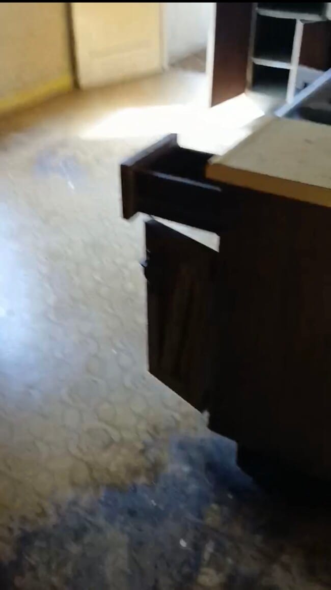 Building Photo - 10113 Count Dr