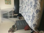 Foto principal - 3160 45th St