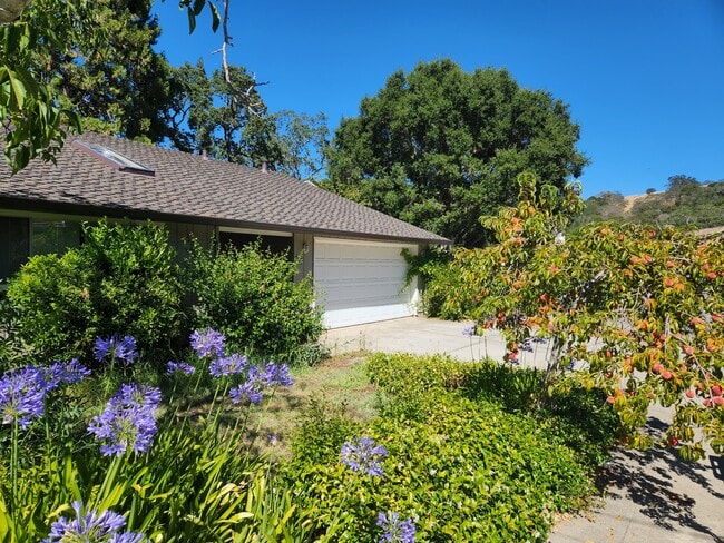 Building Photo - 25 Sneckner Ct