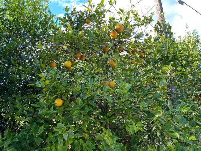 Building Photo - 3/2/2 great location