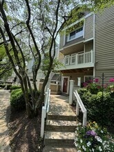 Building Photo - 10823 Hampton Mill Terrace