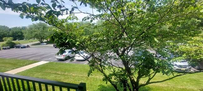 Foto del edificio - 2109 Cedar Run Dr
