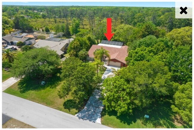 Top of Property - 5239 Suwannee Rd