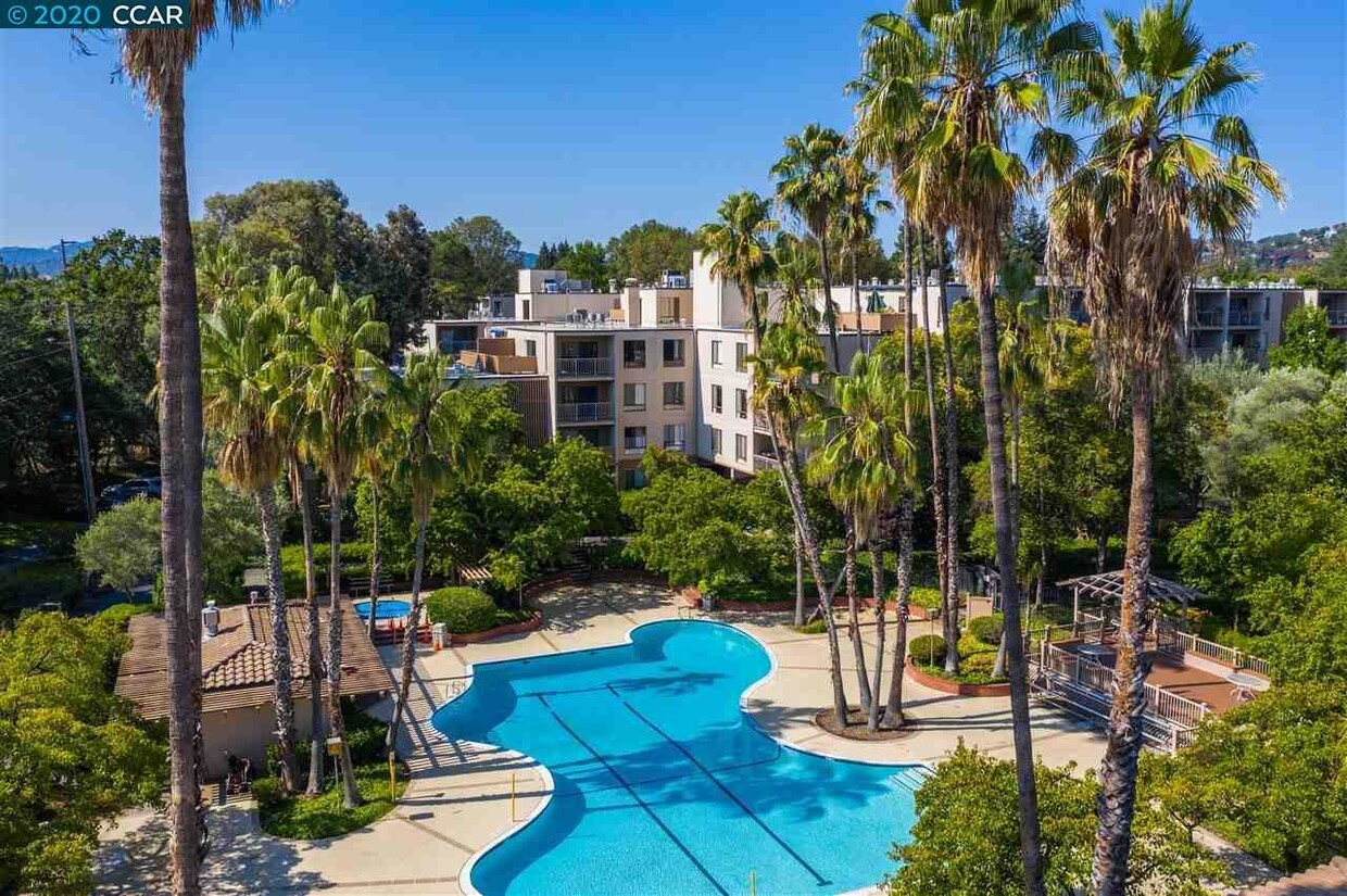 Main Pool & Hot Tub - 310 N Civic Dr