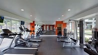 This fitness center is a dedicated, single-floor workout facility designed to accommodate a comprehensive exercise experience. The space is visually defined by striking orange accent walls that contrast with crisp white ceilings, creating an energizing atmosphere well-suited for physical training. Recessed lighting runs throughout the ceiling, ensuring consistent, bright illumination across the entire floor.

The cardio section lines one side of the room and features multiple treadmills, ellipticals, stationary bikes, and rowing machines, arranged in an organized row that maximizes the use of the available floor space. Opposite the cardio equipment, a selection of strength and resistance machines provides options for full-body training. Large windows along the perimeter walls allow natural light to fill the space and offer views of the surrounding outdoor area, enhancing the overall workout environment.

The flooring consists of durable rubber matting suited for high-traffic fitness use, and a large wall mirror helps visually expand the space while allowing users to monitor their form. Additional amenities such as storage racks and wall-mounted accessories are visible throughout. The open layout and logical organization of equipment make this fitness center both functional and welcoming for users of varying fitness levels.