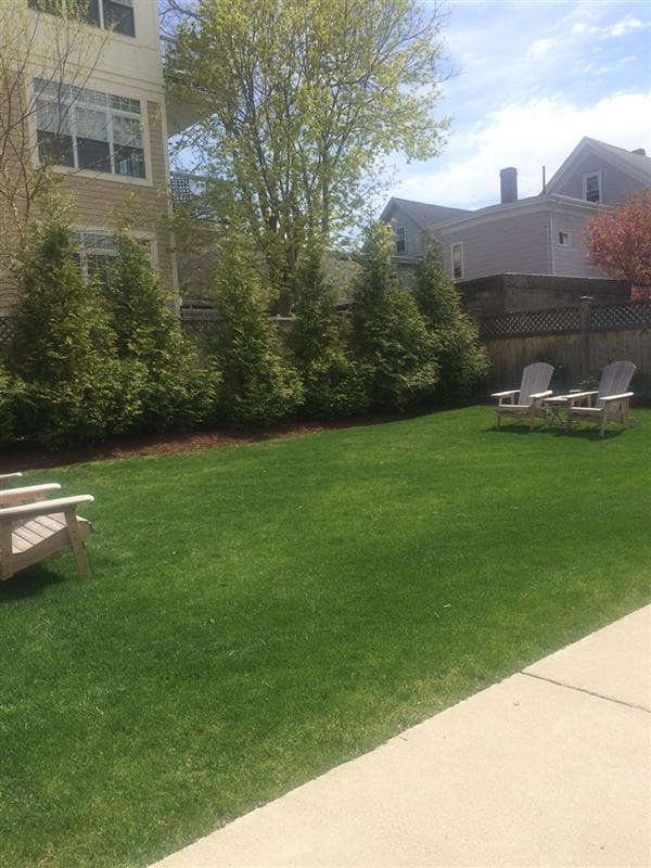 26 Weston Ave Unit A, Somerville, MA 02144 Apartments in Somerville