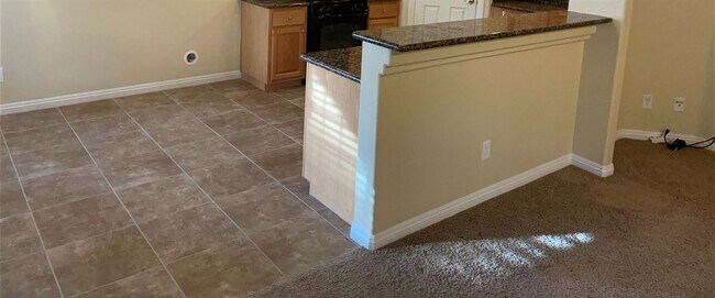 Building Photo - REALLY NICE HOME    NEVADA RANCH estates